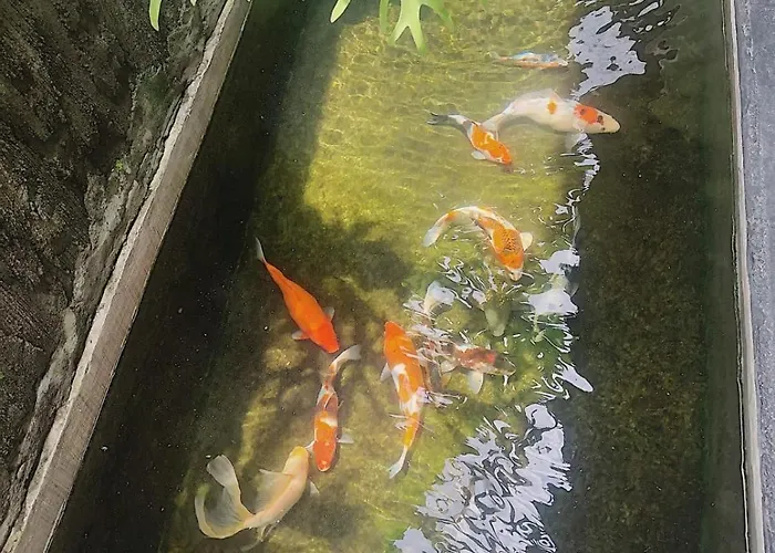 Vina House ウブド