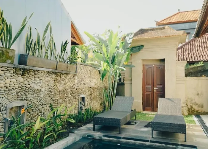 Vina House ヴィラ *